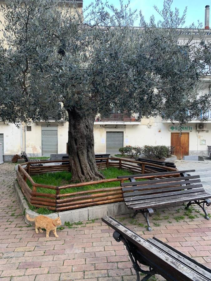 B&B Il Vicoletto Olevano sul Tusciano Экстерьер фото